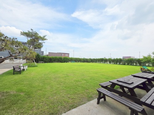잔디밭